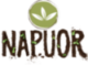 Logo Napuor