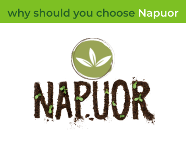 why should you choose Napuor