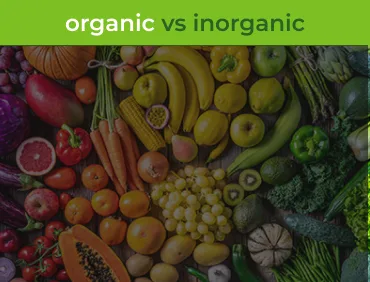 organic vs inorganic